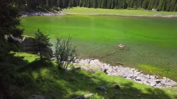 Beach Green Colored Water Obernberger Lake Tyrol Austria Mountains Forest — Stock Video