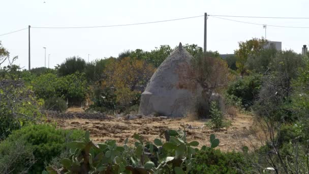 Trullo Tipico Alla Periferia Polignano Mare Italia Statica — Video Stock