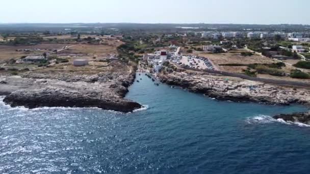 晴れた日にはアルガ港に向かって空を飛ぶ Polignano Male イタリア — ストック動画