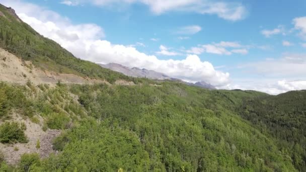 Sommerfahrt Aus Der Luft Durch Saftig Grünen Wald — Stockvideo