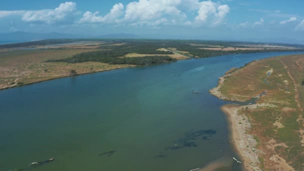 Spiaggia Panoramica Sul Mare Con Costa Marina Della Savana Parco — Video Stock