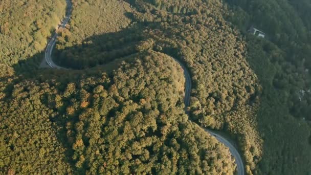 Drohnenaufnahmen Von Autos Die Auf Einer Kurvenreichen Herzförmigen Bergstraße Inmitten — Stockvideo