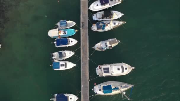 Vista Panorâmica Pequenos Barcos Atracados Águas Tropicais — Vídeo de Stock