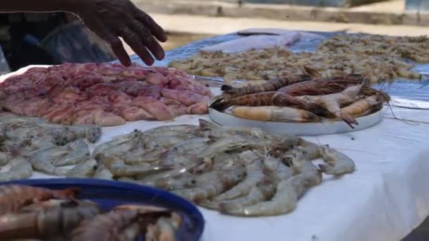 ガンバなどの新鮮な貝がたくさん売られていますが スリランカのネゴンボの地元の屋外魚市場では多くのハエが飛び回っています — ストック動画