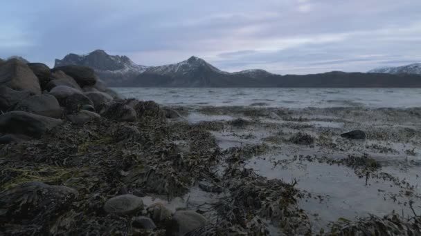 Water Waves Hitting Big Rocks Fucales Skaland Fjord Norway Static — Stock Video