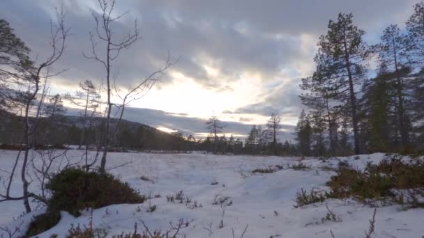 Piękny Chmury Toczące Się Nad Snowy Forest Norwegii Timelapse — Wideo stockowe