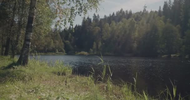 Kypesjn Lake Late Summer Afternoon Bors Švédsko Static Wide Shot — Stock video