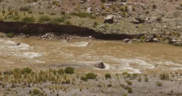 Nehir Akıyor Pampas Galeras Peru — Stok video