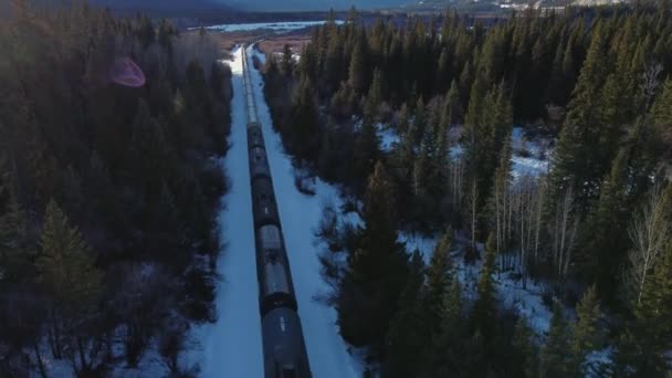 Trem Através Uma Floresta Seguido Trailers Óleo Neve Inverno — Vídeo de Stock