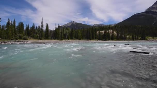 Cold Crystal Blue Rushing Glacial Water Athabasca River Athabasca Falls — Stock Video