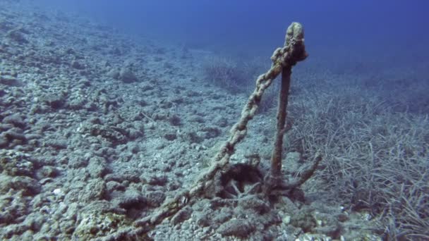 ギリシャのケファロニア島の海の下で沈み込んだ錆びたアンカーとチェーン 水中で — ストック動画