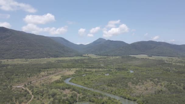 Vasto Bosco Verde Montagne Della Riserva Trinity Forest East Trinity — Video Stock