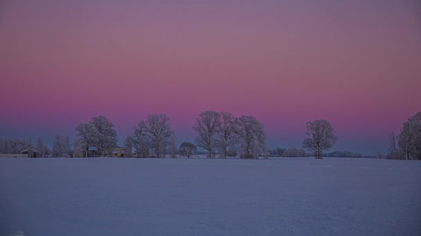 青い時間帯に日没後の木々や紫と青の色の空と雪原のタイムラプスショット — ストック動画