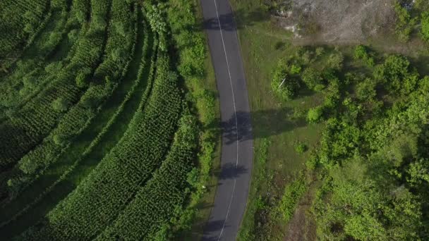 Letecký Pohled Shora Auta Projíždí Osamělou Cestou Mezi Horami — Stock video