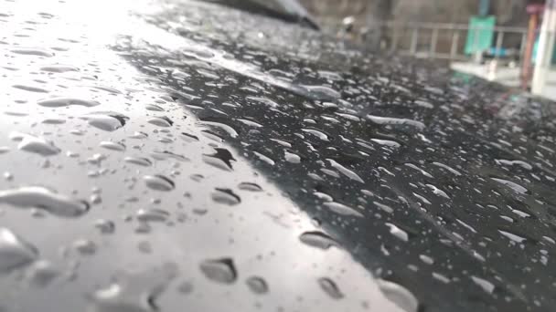 Wasser Tropft Auf Die Oberfläche Des Autolacks Nahaufnahme — Stockvideo