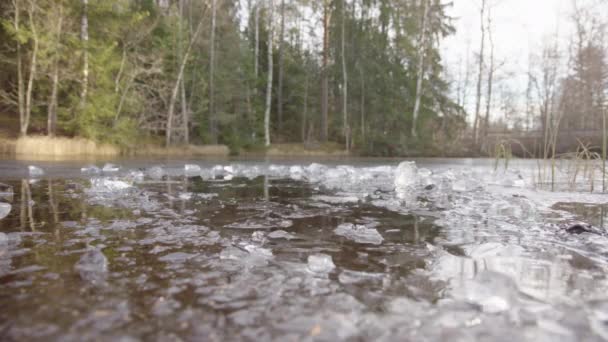 Closeup Крижаних Лазень Входить Крижану Воду Озера — стокове відео