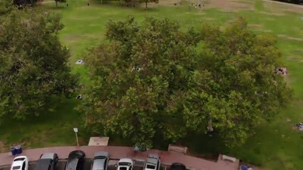 Dia Nublado Kate Sessions Park San Diego Com Oceano Distância — Vídeo de Stock