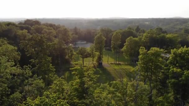 Drone Asciende Para Revelar Campo Fútbol Vacío Exuberante Bosque — Vídeos de Stock