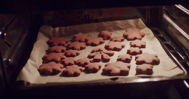 Gebakken Koekjes Uit Elektrische Oven Halen Nog Steeds Van Dichtbij — Stockvideo