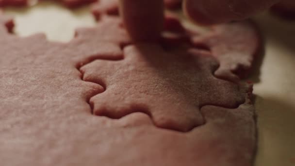 Ontbijtkoek Sneeuwvlokje Koekjes Uit Het Deeg Verwijderen Close Proces — Stockvideo