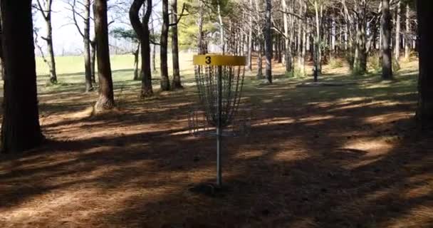 Dolly Disparó Caminando Hacia Una Canasta Golf Frisbee Lanzando Disco — Vídeo de stock