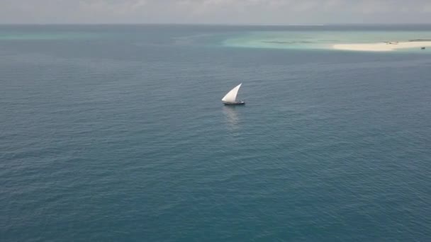 Zanzibar Açıklarındaki Kum Adası Yakınlarındaki Geleneksel Dhow Yelkenlisinin Yörüngeleri — Stok video