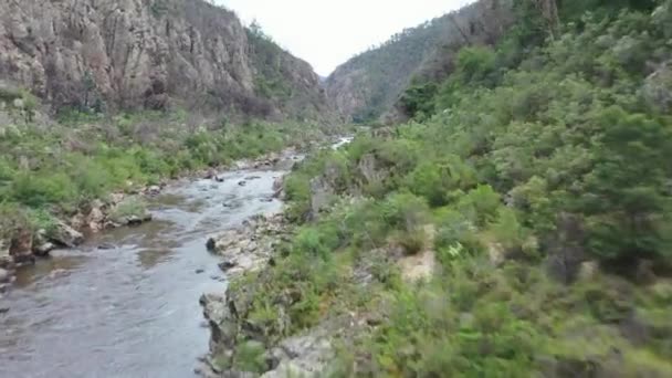 Voo Aéreo Montante Linhas Verdes Folhagem Rio Desfiladeiro Rochoso Profundo — Vídeo de Stock