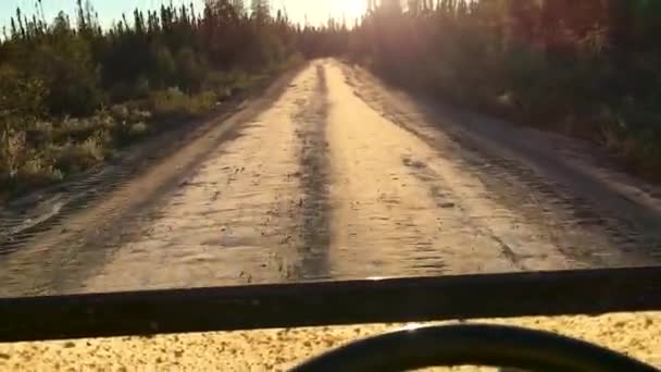Canadian Boreal Les Backcountry Road Driving Utility Terrain Vehicle Pov — Stock video