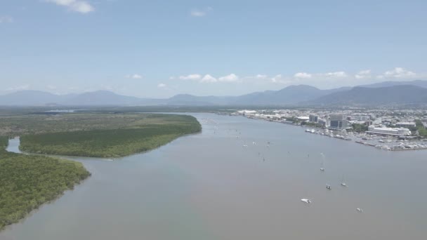 Boten Cruisen Chinaman Creek Tussen Trinity Forest Reserve Cairns City — Stockvideo