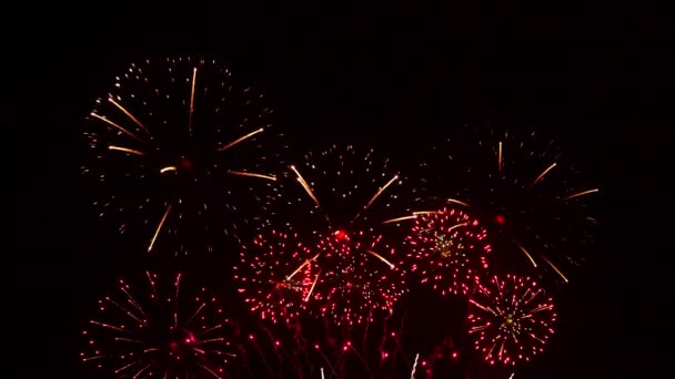 Színes Tűzijáték Kijelző Éjjel Égen Háttér — Stock videók