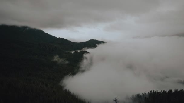 Białe Mgliste Chmury Nad Gęstą Gęstością Górach Ramy Czasowe — Wideo stockowe