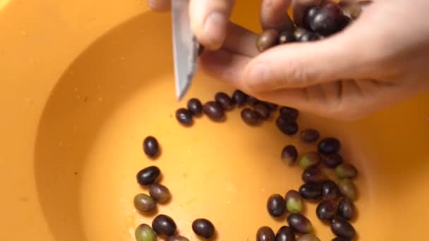 Slicing Olives Open Start Debittered Process Able Eat Them — Stock Video