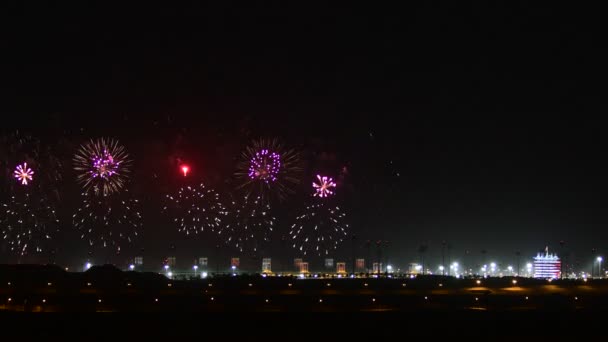 马尼拉 12月16日 巴林国庆节期间在巴林国际赛道上展出的烟火 2021年12月16日 巴林麦纳麦 — 图库视频影像
