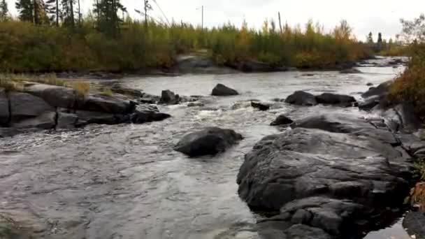 Kanada Boreal Shield Nehri Kuzey Ontario Kanada Küçük Akıntıların Üzerinden — Stok video