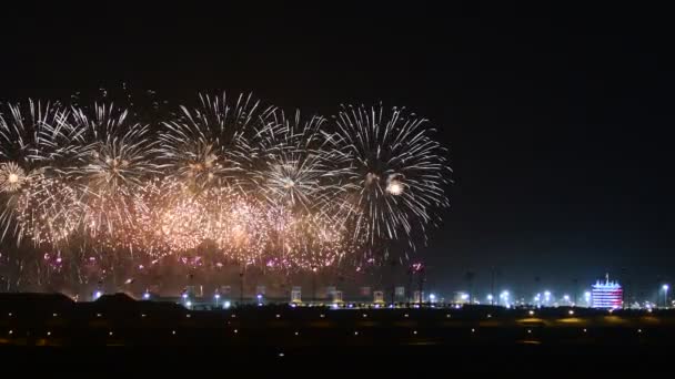 Manama Bahrain Dicembre Fuochi Artificio Sul Circuito Internazionale Del Bahrain — Video Stock