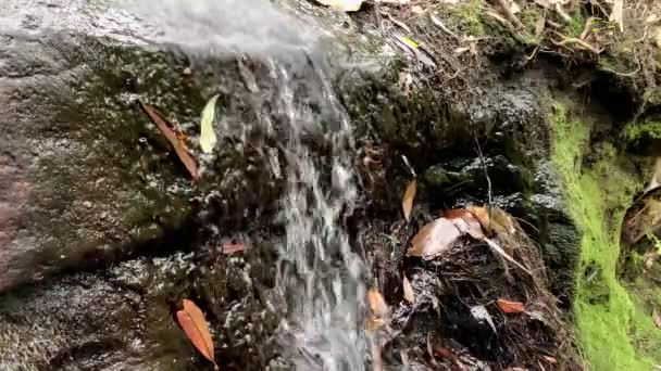 Petit Ruisseau Mène Une Cascade Sur Des Rochers Australie — Video