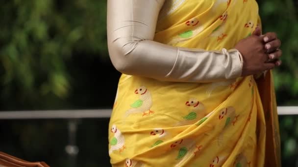 Indyjska Modelka Nosząca Kanchipuram Kanjeevaram Silk Saree Static Shot Egzotyczne — Wideo stockowe