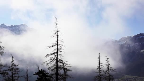 Медитативные Плавающие Облака Швейцария Альпы — стоковое видео