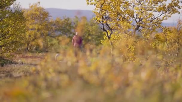 Egy Kis Fehér Kutya Hosszú Pórázon Sétál Gazdája Mellett Őszi — Stock videók