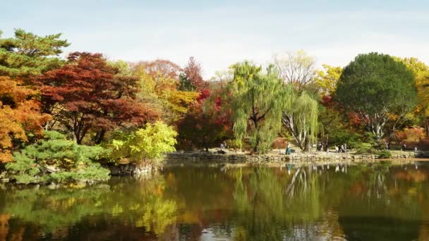 Stony Shore Autumn Foilage Chundangji Pond Changgyeonggung Palace Unrecognizable People — Stock Video