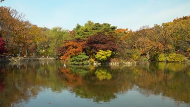 Foglia Autunnale Riflessione Del Cielo Acqua Stagnante Dello Stagno Chundangji — Video Stock