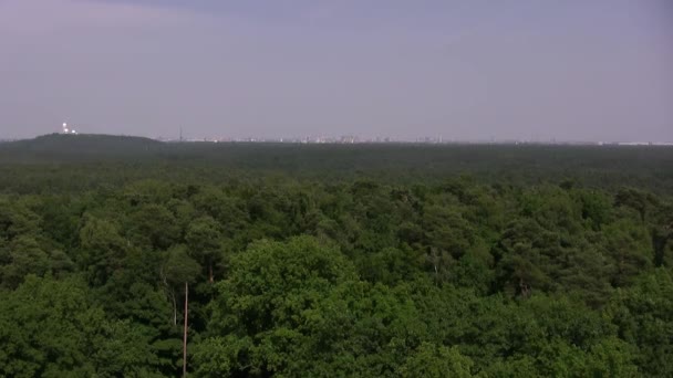 Berlin Grunewald Avec Teufelsberg Berlin Arrière Allemagne — Video