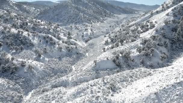 Górska Dolina Pochylona Sosnami Świeży Śnieg Brak Ludzi Błękitne Niebo — Wideo stockowe