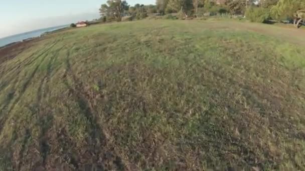 Formação Muito Próxima Ambiente Verde — Vídeo de Stock