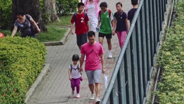 Chinese Father Holding Hands His Daughter Several Children Having Pleasant — Stock Video