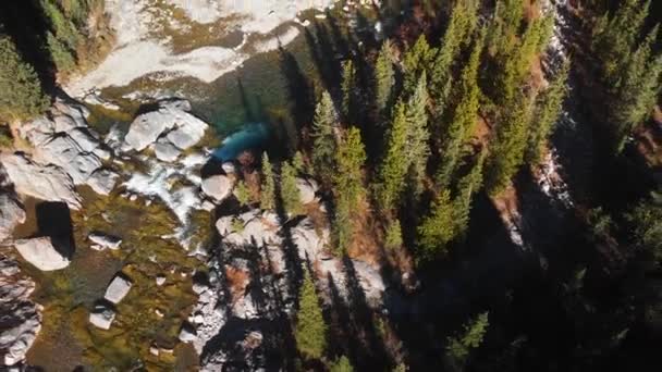 ドローン上昇に見られるノルデグの森を流れる川と滝 — ストック動画
