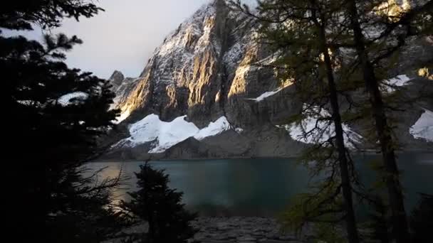 Kamera Pánve Mezi Stromy Odhaluje Chladnou Krajinu Kolem Floe Lake — Stock video