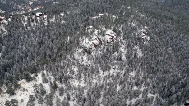 Drone Aerial View Snow Covered Winterscape Mountain Top Fenyőfák Veszik — Stock videók