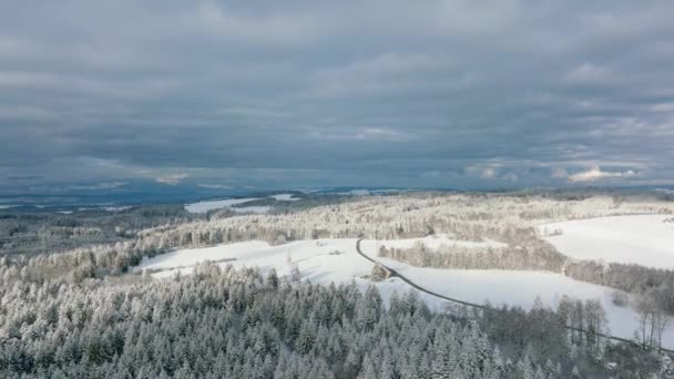 Floresta Nevada Clarificação Jorat Woods Perto Lausanne Vaud Suíça Dia — Vídeo de Stock