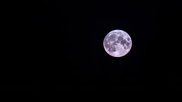 Avistamiento Luna Llena Dominando Los Cielos Medianoche — Vídeos de Stock